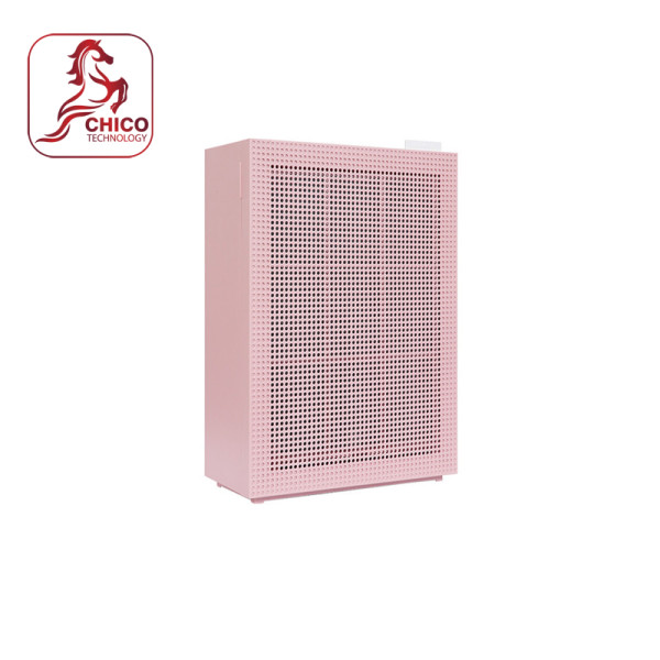 Máy lọc không khí Coway AP-1019C (P)