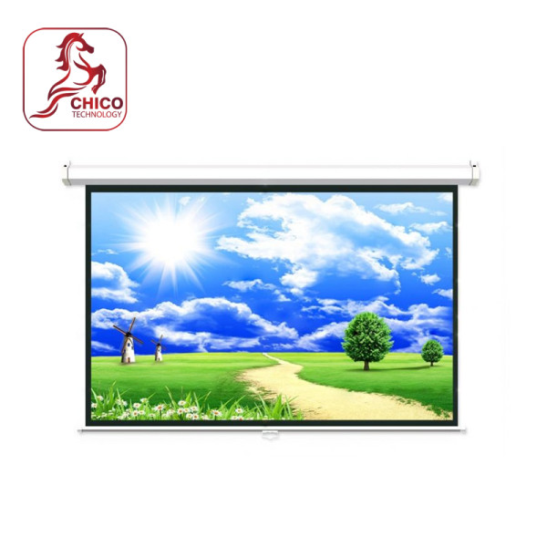 Màn chiếu treo tường Dalite P70WS