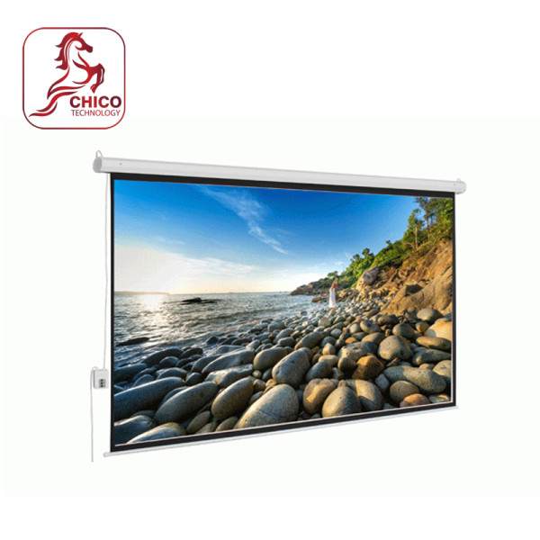 Màn chiếu điện Dalite PW150ES