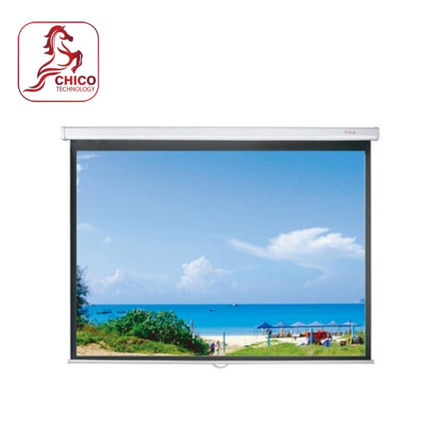 Màn chiếu treo tường Dalite PLW150WS