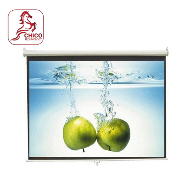 Màn chiếu treo tường Dalite P50WS
