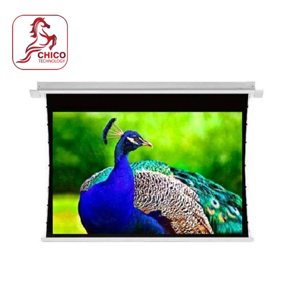 Màn chiếu điện âm trần Dalite 4K 133 inch TABTENSION CM-1339EST