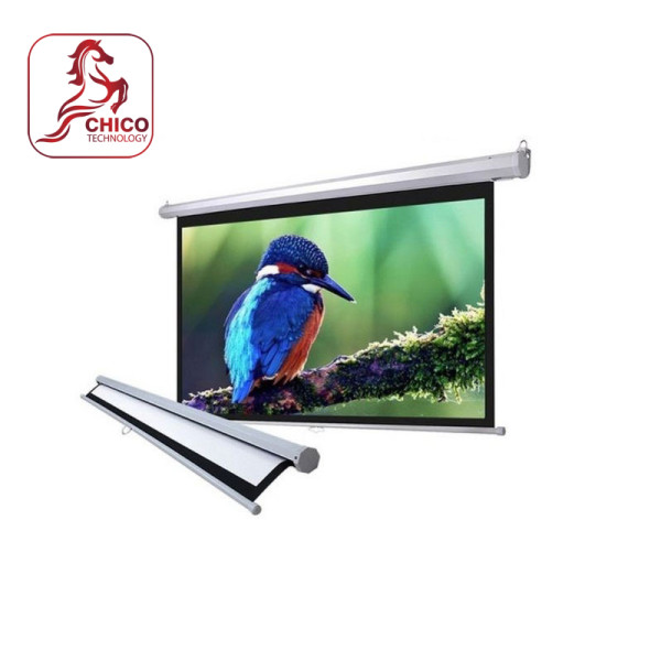 Màn chiếu treo tường Lyscreen WEB-70S