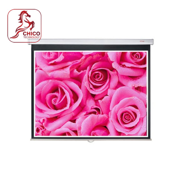 Màn chiếu treo tường Screen Pro MS84