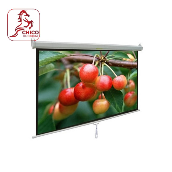 Màn chiếu điện Exzen ENA200VWW