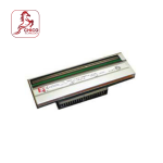 Đầu in Zebra ZM600 300dpi (79804M)