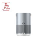 Air Purifier P1