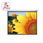 250inch