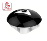 EBF2 (5MP)
