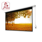 3D 100 inch 