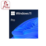 11 Pro 64-bit All Lng PK Lic Online DwnLd NR FQC-10572_ Retail Online ESD